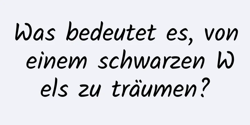 Was bedeutet es, von einem schwarzen Wels zu träumen?