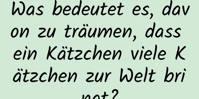 Was bedeutet es, davon zu träumen, dass ein Kätzchen viele Kätzchen zur Welt bringt?
