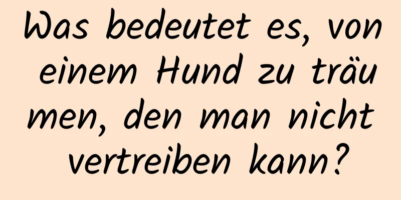 Was bedeutet es, von einem Hund zu träumen, den man nicht vertreiben kann?