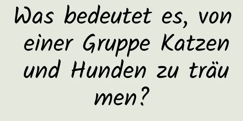 Was bedeutet es, von einer Gruppe Katzen und Hunden zu träumen?