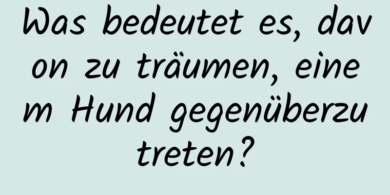 Was bedeutet es, davon zu träumen, einem Hund gegenüberzutreten?