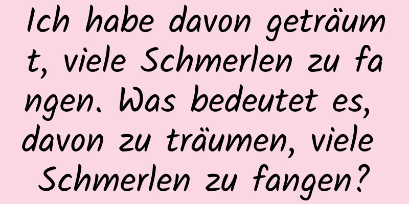 Ich habe davon geträumt, viele Schmerlen zu fangen. Was bedeutet es, davon zu träumen, viele Schmerlen zu fangen?