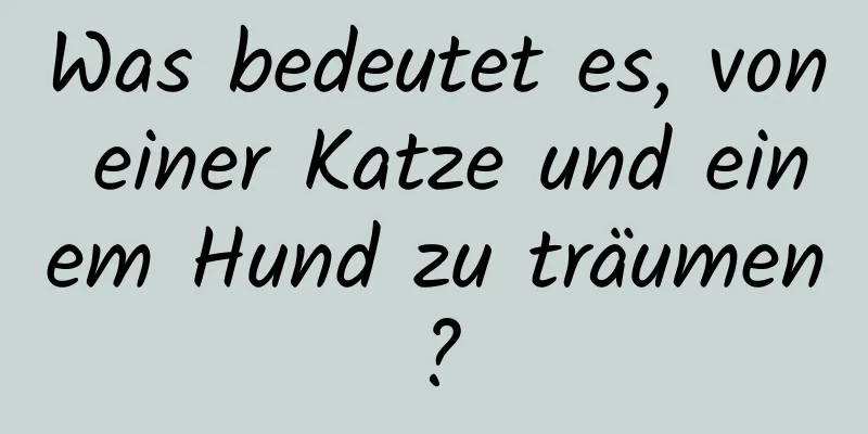 Was bedeutet es, von einer Katze und einem Hund zu träumen?