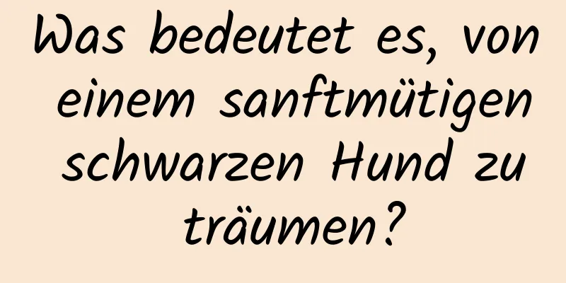 Was bedeutet es, von einem sanftmütigen schwarzen Hund zu träumen?
