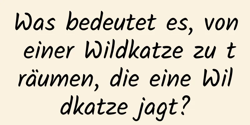 Was bedeutet es, von einer Wildkatze zu träumen, die eine Wildkatze jagt?