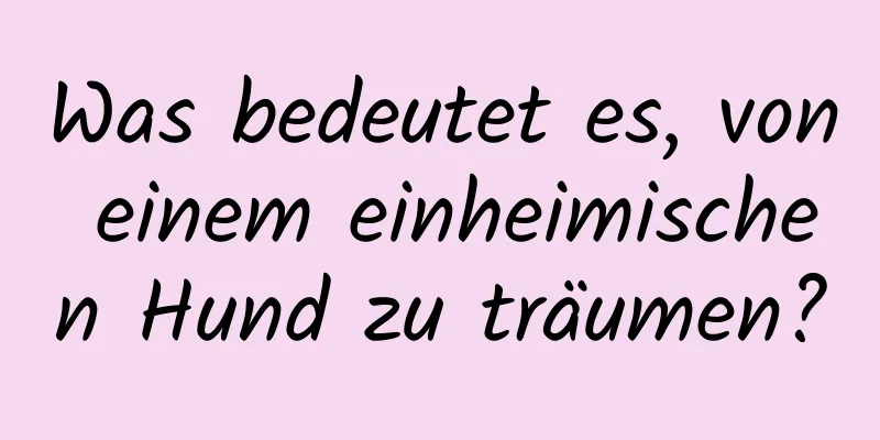 Was bedeutet es, von einem einheimischen Hund zu träumen?