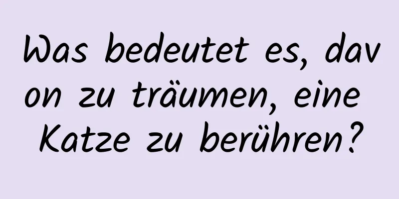 Was bedeutet es, davon zu träumen, eine Katze zu berühren?