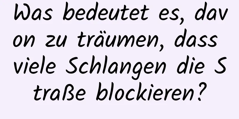 Was bedeutet es, davon zu träumen, dass viele Schlangen die Straße blockieren?