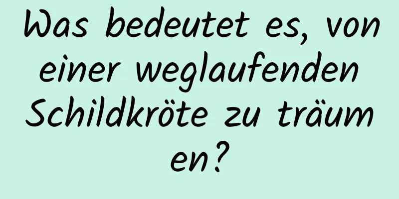 Was bedeutet es, von einer weglaufenden Schildkröte zu träumen?