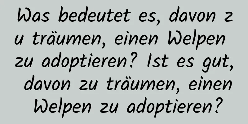 Was bedeutet es, davon zu träumen, einen Welpen zu adoptieren? Ist es gut, davon zu träumen, einen Welpen zu adoptieren?