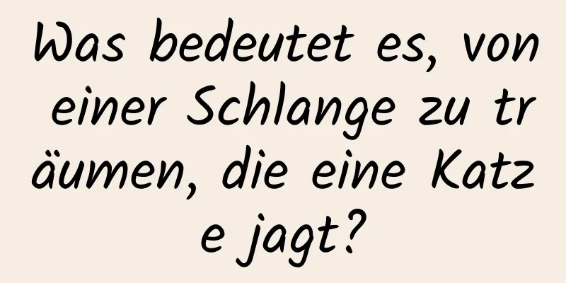 Was bedeutet es, von einer Schlange zu träumen, die eine Katze jagt?