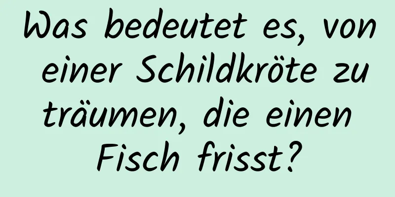 Was bedeutet es, von einer Schildkröte zu träumen, die einen Fisch frisst?