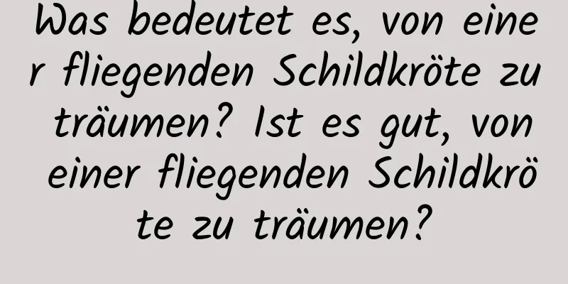 Was bedeutet es, von einer fliegenden Schildkröte zu träumen? Ist es gut, von einer fliegenden Schildkröte zu träumen?