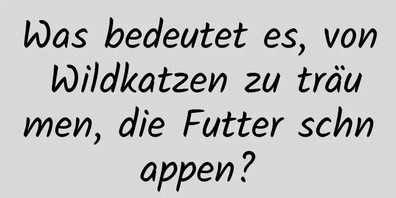 Was bedeutet es, von Wildkatzen zu träumen, die Futter schnappen?