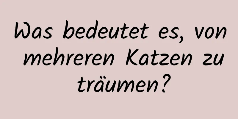 Was bedeutet es, von mehreren Katzen zu träumen?