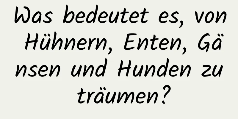 Was bedeutet es, von Hühnern, Enten, Gänsen und Hunden zu träumen?