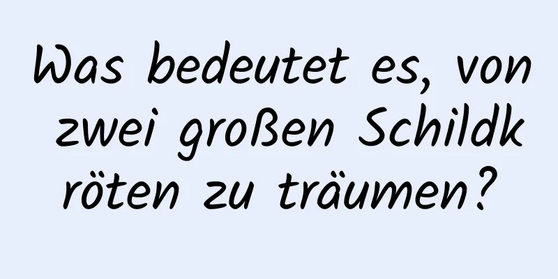 Was bedeutet es, von zwei großen Schildkröten zu träumen?
