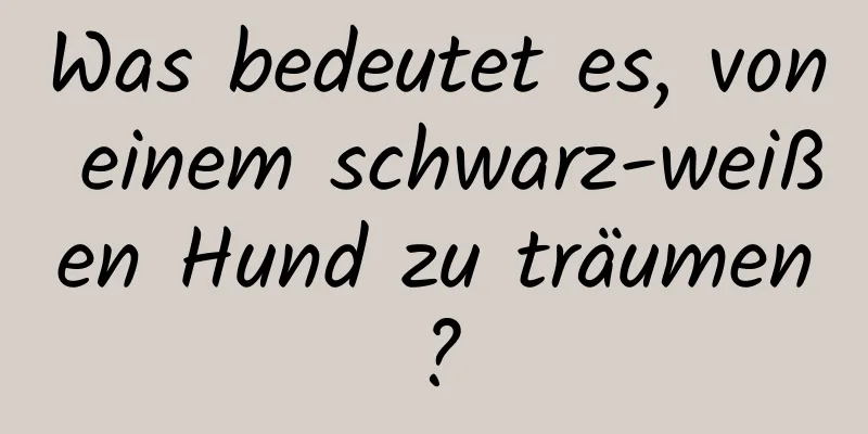 Was bedeutet es, von einem schwarz-weißen Hund zu träumen?