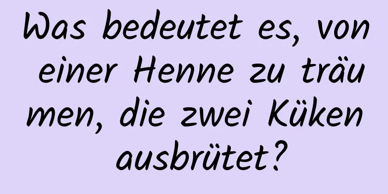 Was bedeutet es, von einer Henne zu träumen, die zwei Küken ausbrütet?