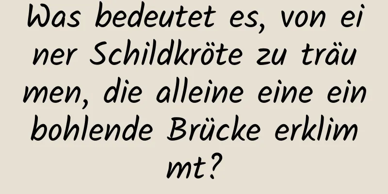 Was bedeutet es, von einer Schildkröte zu träumen, die alleine eine einbohlende Brücke erklimmt?