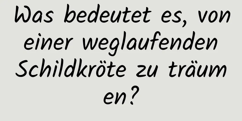 Was bedeutet es, von einer weglaufenden Schildkröte zu träumen?