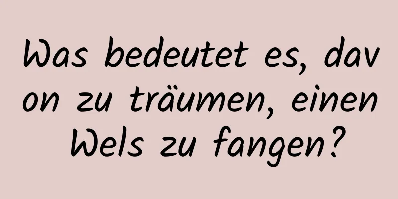 Was bedeutet es, davon zu träumen, einen Wels zu fangen?