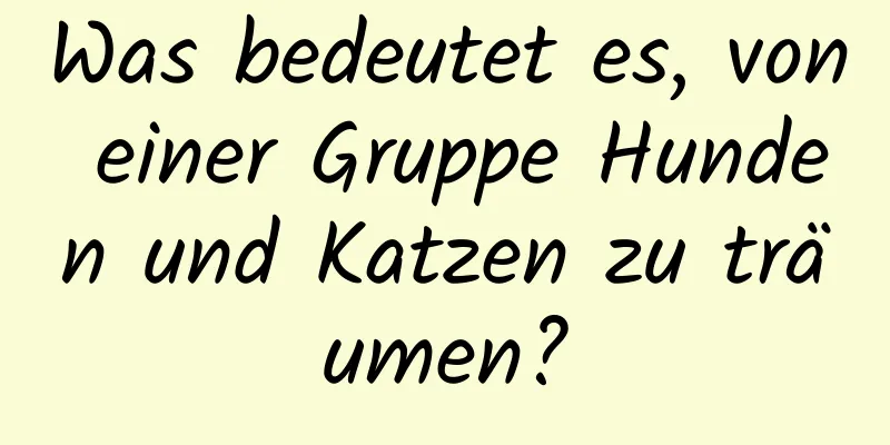 Was bedeutet es, von einer Gruppe Hunden und Katzen zu träumen?
