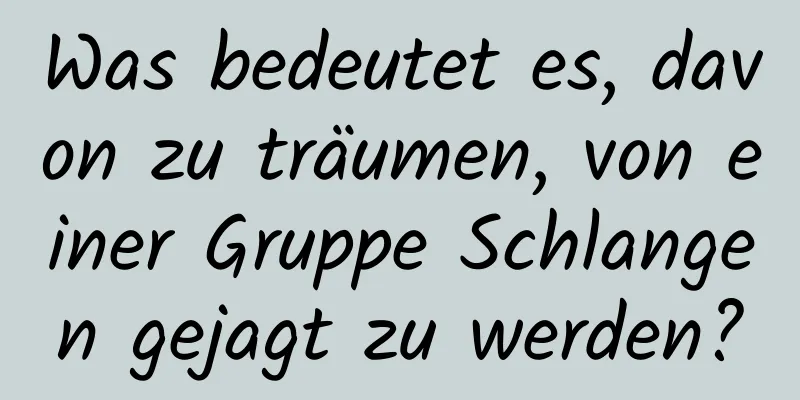 Was bedeutet es, davon zu träumen, von einer Gruppe Schlangen gejagt zu werden?