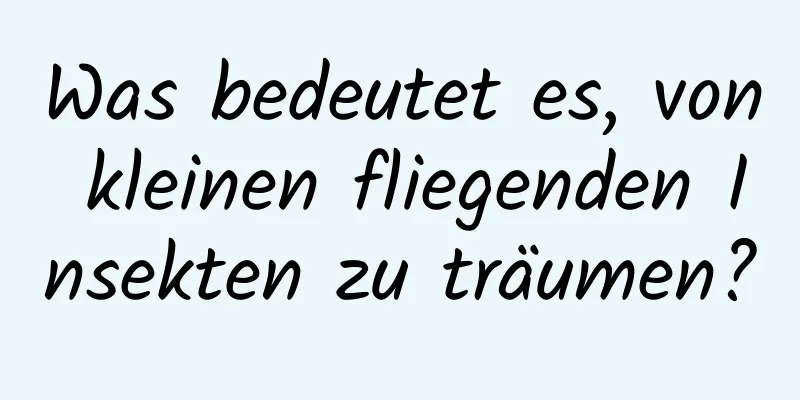 Was bedeutet es, von kleinen fliegenden Insekten zu träumen?