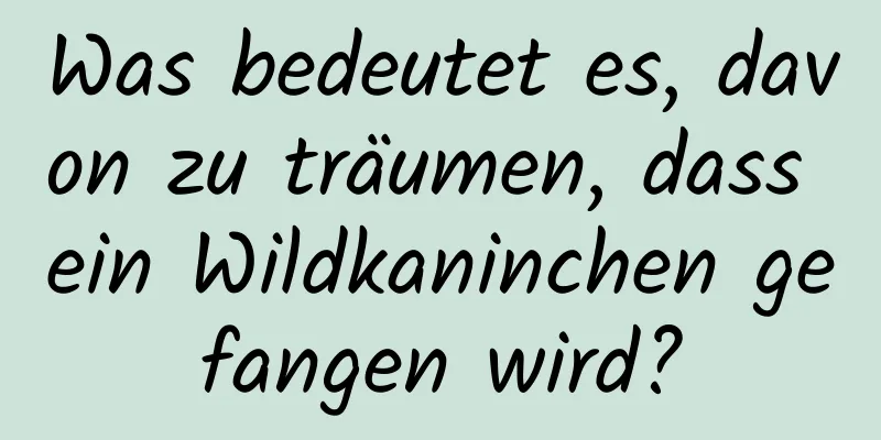Was bedeutet es, davon zu träumen, dass ein Wildkaninchen gefangen wird?