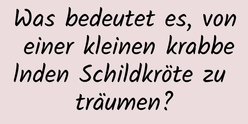 Was bedeutet es, von einer kleinen krabbelnden Schildkröte zu träumen?