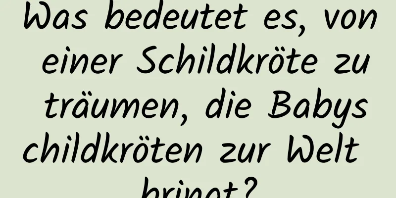 Was bedeutet es, von einer Schildkröte zu träumen, die Babyschildkröten zur Welt bringt?