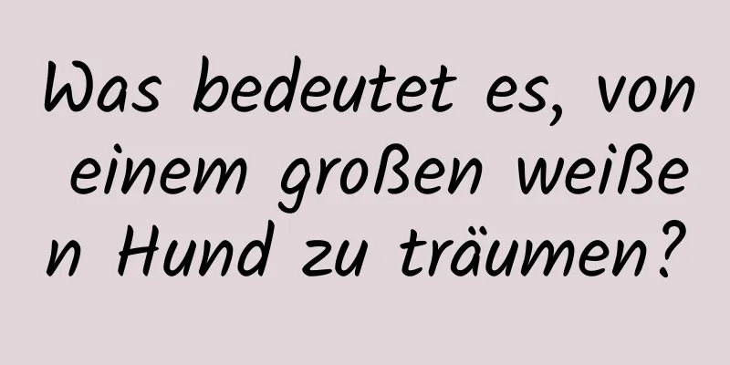 Was bedeutet es, von einem großen weißen Hund zu träumen?