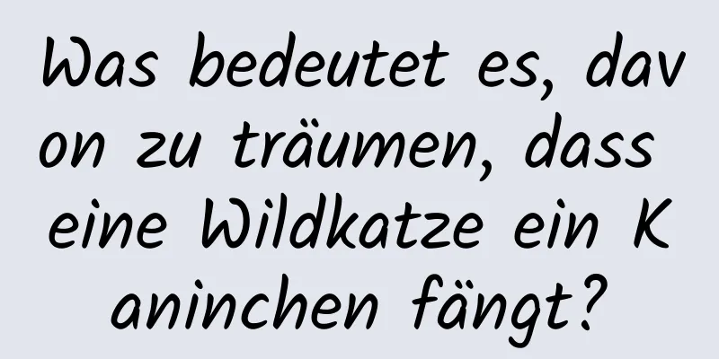 Was bedeutet es, davon zu träumen, dass eine Wildkatze ein Kaninchen fängt?