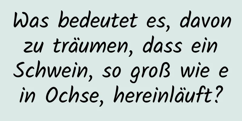 Was bedeutet es, davon zu träumen, dass ein Schwein, so groß wie ein Ochse, hereinläuft?