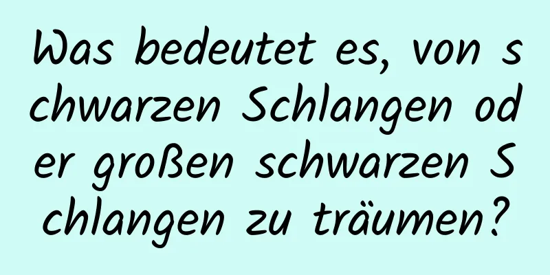 Was bedeutet es, von schwarzen Schlangen oder großen schwarzen Schlangen zu träumen?