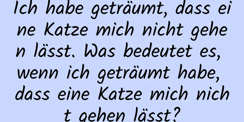 Ich habe geträumt, dass eine Katze mich nicht gehen lässt. Was bedeutet es, wenn ich geträumt habe, dass eine Katze mich nicht gehen lässt?