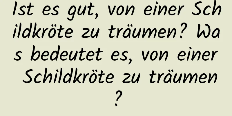 Ist es gut, von einer Schildkröte zu träumen? Was bedeutet es, von einer Schildkröte zu träumen?
