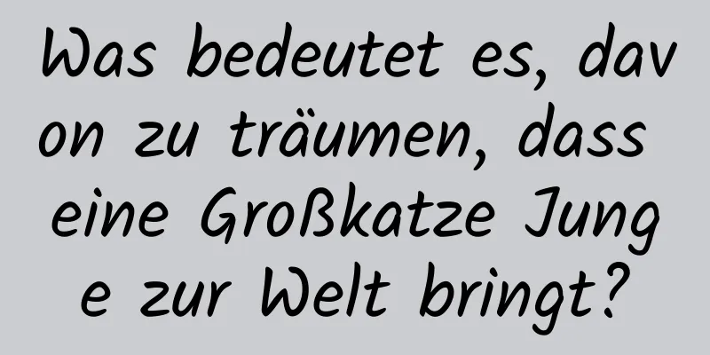 Was bedeutet es, davon zu träumen, dass eine Großkatze Junge zur Welt bringt?