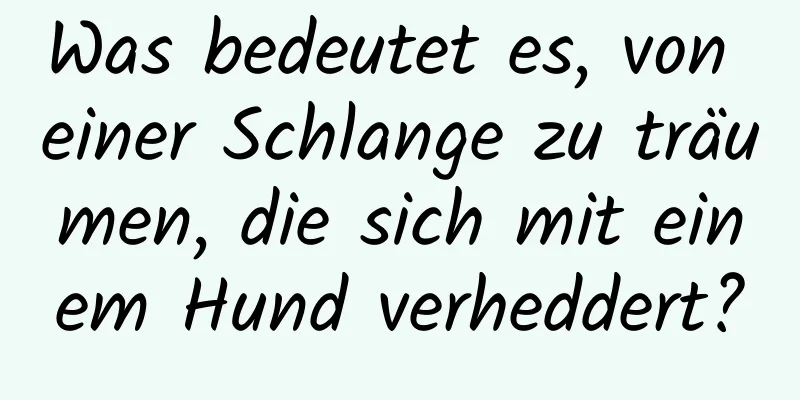 Was bedeutet es, von einer Schlange zu träumen, die sich mit einem Hund verheddert?