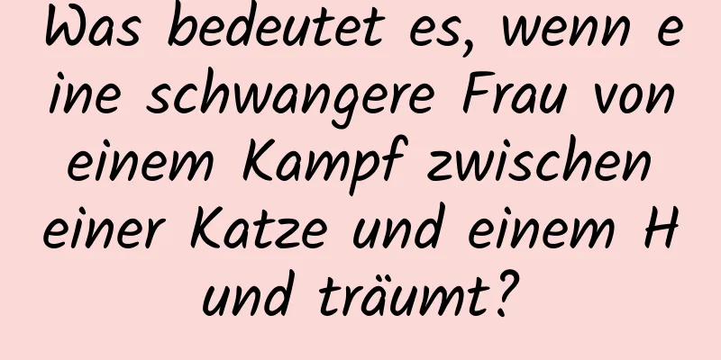 Was bedeutet es, wenn eine schwangere Frau von einem Kampf zwischen einer Katze und einem Hund träumt?