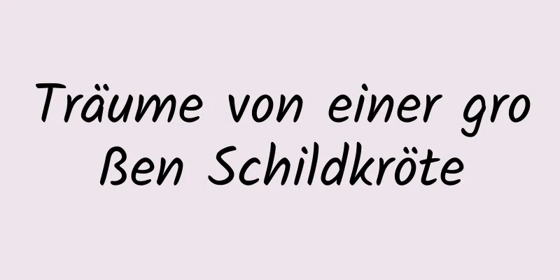 Träume von einer großen Schildkröte