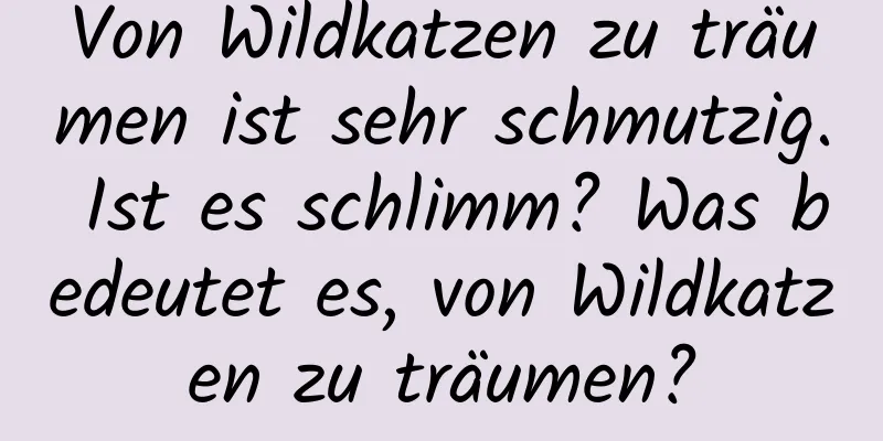 Von Wildkatzen zu träumen ist sehr schmutzig. Ist es schlimm? Was bedeutet es, von Wildkatzen zu träumen?