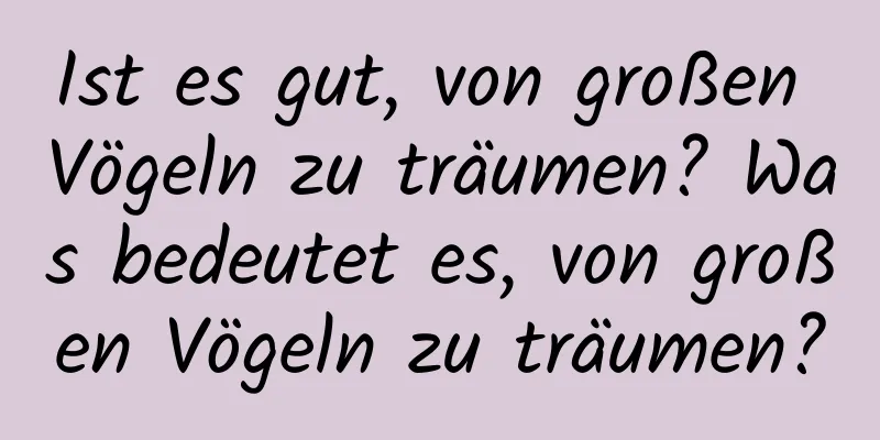 Ist es gut, von großen Vögeln zu träumen? Was bedeutet es, von großen Vögeln zu träumen?
