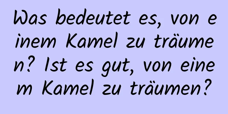 Was bedeutet es, von einem Kamel zu träumen? Ist es gut, von einem Kamel zu träumen?