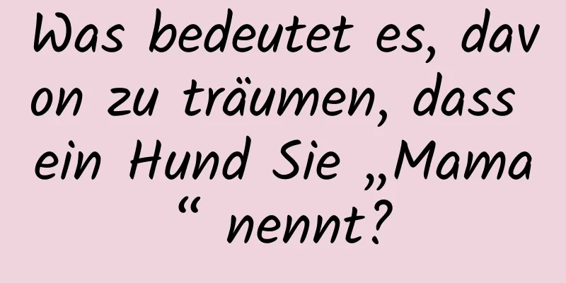 Was bedeutet es, davon zu träumen, dass ein Hund Sie „Mama“ nennt?