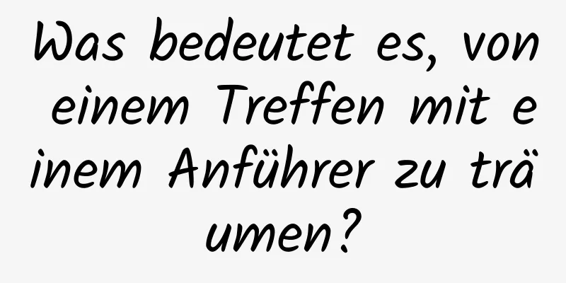 Was bedeutet es, von einem Treffen mit einem Anführer zu träumen?