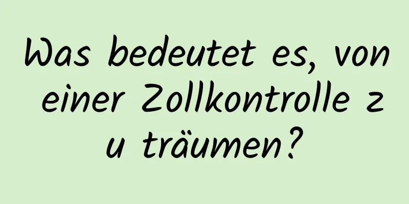 Was bedeutet es, von einer Zollkontrolle zu träumen?