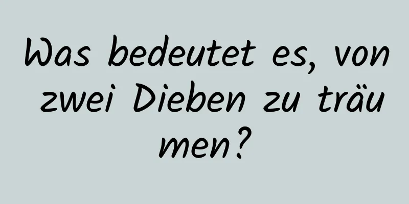 Was bedeutet es, von zwei Dieben zu träumen?